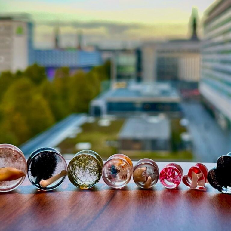 Plugs · Epoxidharz · Allgemein · Nr. MH-2RDZIA · Mihamei Einzelstück